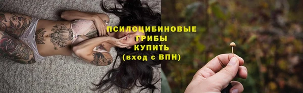 стаф Нефтекумск