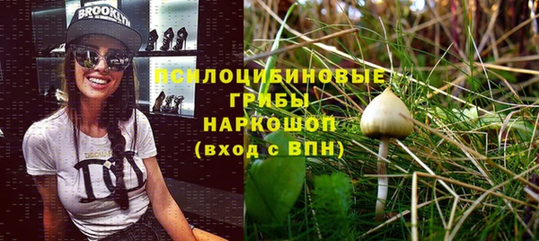 трава Нея