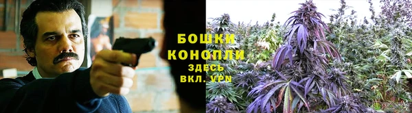 трава Нея