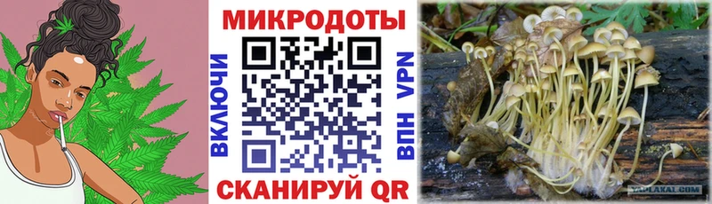 Купить закладки  Юрга  Галлюциногенные грибы мухоморы 
